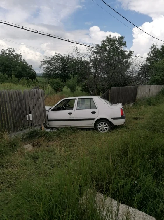 Maşina a intrat într-un gard după ce şoferul a vrut să evite impactul cu un câine          Foto: Arhivă Adevărul