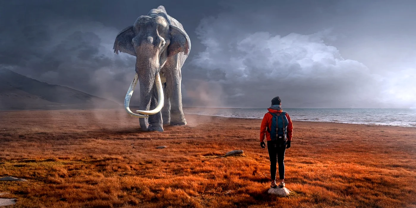 Un bărbat a fost atacat de un elefant după ce a încercat să facă un selfie / FOTO: Pixabay