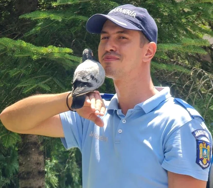 
    Jandarmul Nicoale Lăcătuș l-a salvat pe porumbelul botezat GălăgieFoto: Ministerul de Interne  