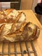 paine bun jpeg
