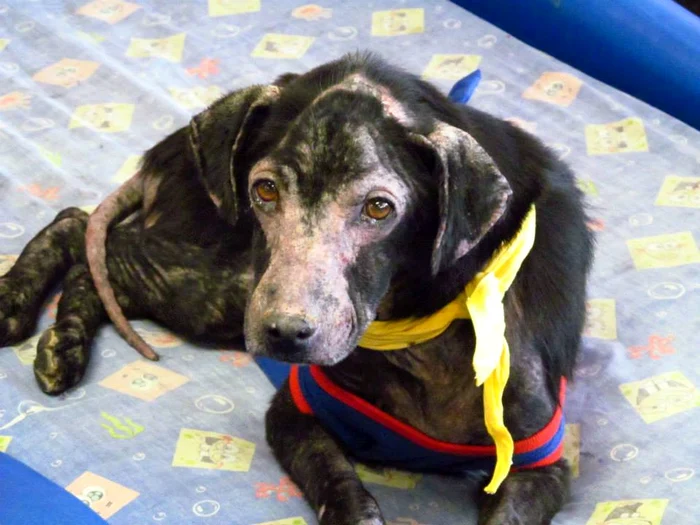 
    Adam era alergic la oameni: îi cădea părul şi i se umfla pieleaFoto: Facebook  