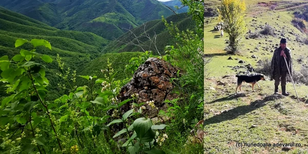 parcul gradistea muncelului cioclovian jpg