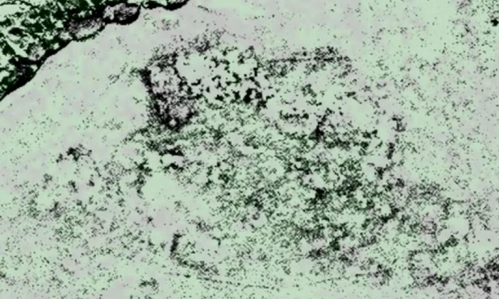 Vikingii în Canada? O descoperire arheologică ar putea confirma ipotezele istoricilor jpeg