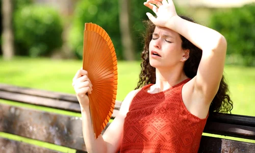 epuizare caldura jpg