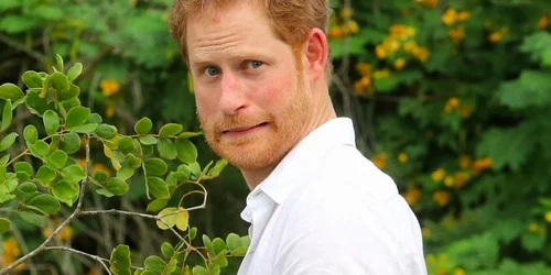 printul charles