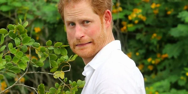 printul charles