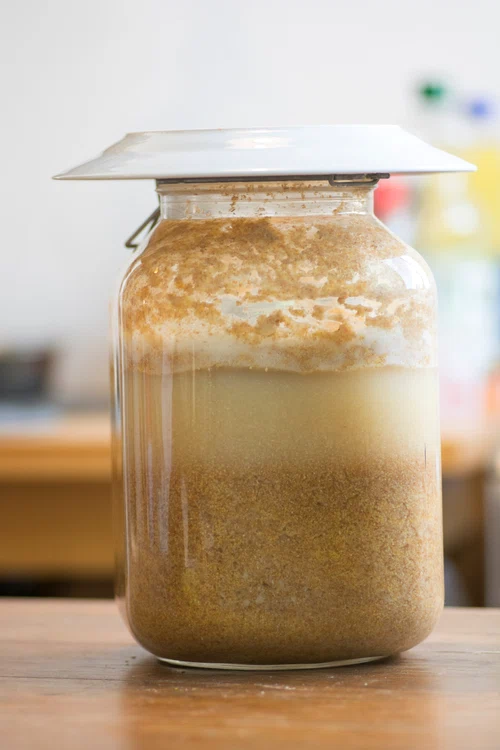 Procesul de fermentare