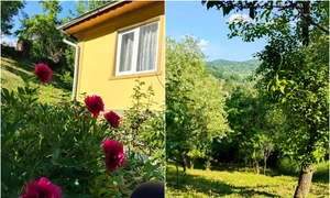 casa la tara jpg