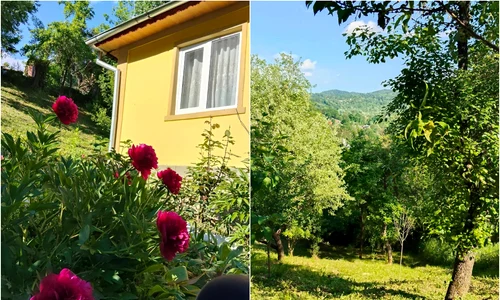 casa la tara jpg