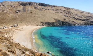 vagia top 1 2560 webp