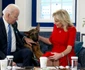 13 cainele lui joe biden de la casa alba cionbanesc german commander 4 jpg jpeg