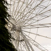 FOTO Facebook Targul de Craciun Bucuresti jpg