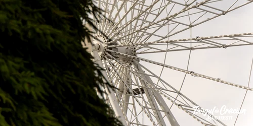 FOTO Facebook Targul de Craciun Bucuresti jpg