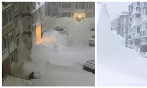 BeFunky collage   2026 01 18T102351 153 jpg