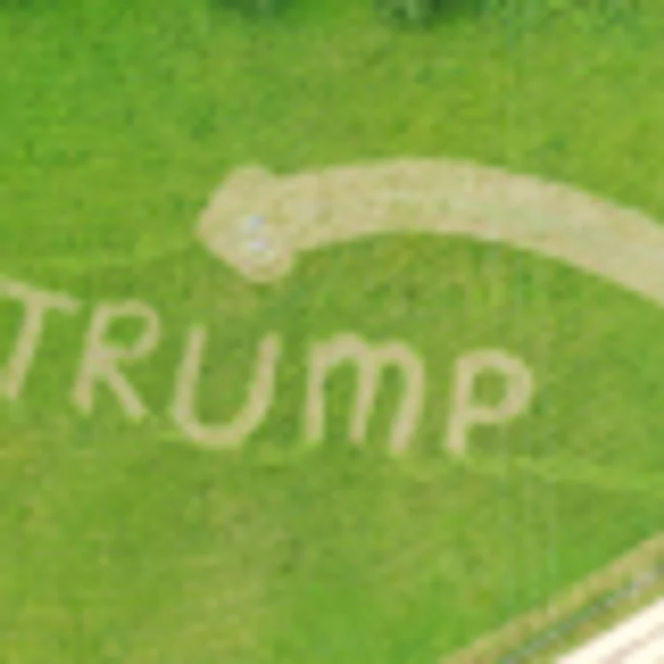 Protest penis Trump