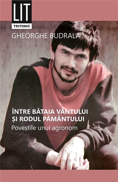 coperta cărții Între bătaia vântului jpeg