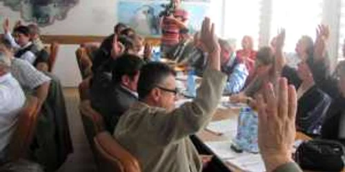 24 dintre cei 29 de consilieri prezenţi au votat pentru referendum