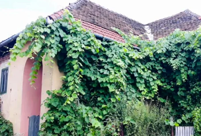 Cum poți deveni proprietar legal al unui teren sau al unei case fără acte.