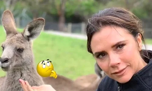 1 victoria beckham jpg jpeg