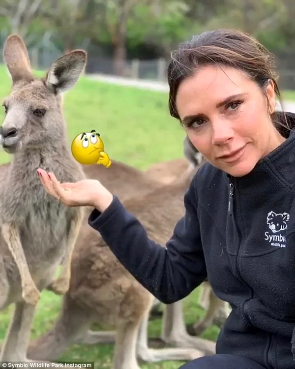 1 victoria beckham jpg jpeg