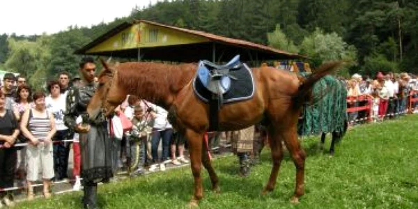 Caii de rasă au făcut spectacol la Râşnov (FOTOGALERIE)