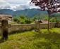 Cimitirul Bisericii din Proieni - Brezoi judeţul Vâlcea - locul în care se presupune că s-a cununat Mihai Viteazul cu Doamna Stanca Foto Adevărul credit CNIPT Vâlcea