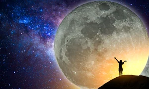 luna shutterstock 516496957 jpg