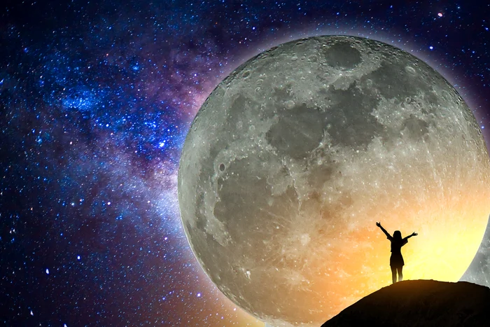 luna shutterstock 516496957 jpg