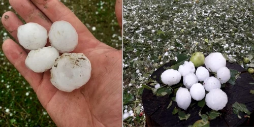 colaj grindina foto voichita zeller