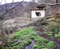 Valea Retisoarei Foto Daniel Guță ADEVĂRUL (5) jpg
