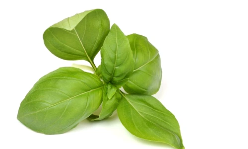 1 55202 original jpg jpeg