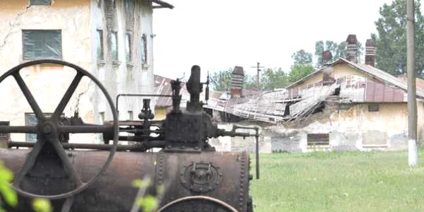 ferma 1