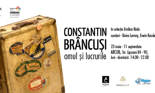 Constantin Brâncuși: omul și lucrurile | Expoziție png