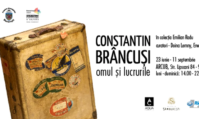 Constantin Brâncuși: omul și lucrurile | Expoziție png