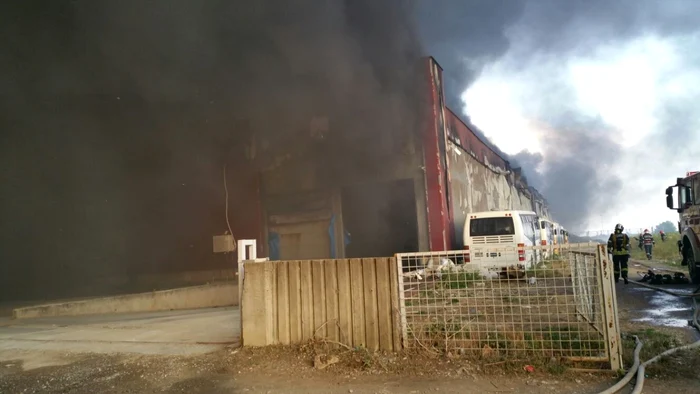 Incendiul a mistuit două hale de producţie