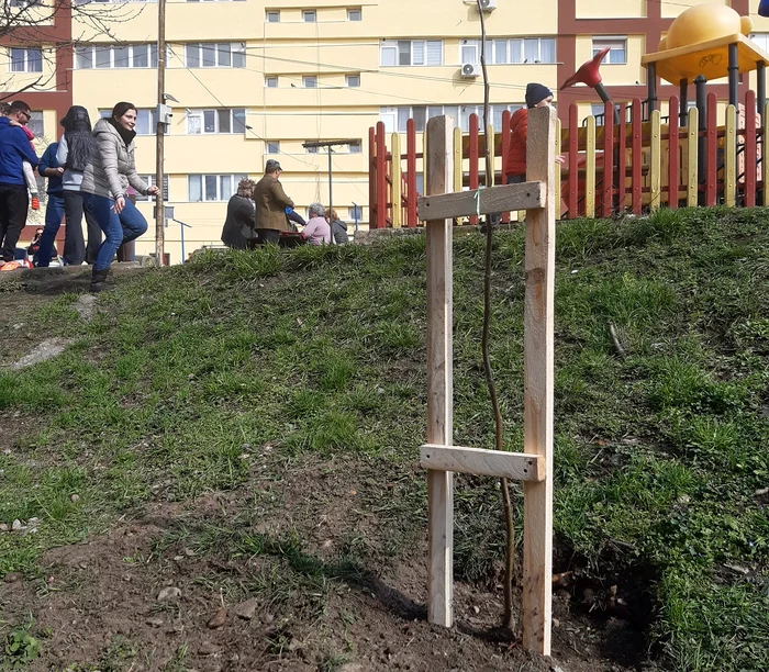 Locatarii au plantat singuri pomi și flori Foto: Între vecini/Facebook