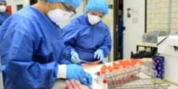216  bolnavi de gripă porcină în România, şapte noi cazuri confirmate