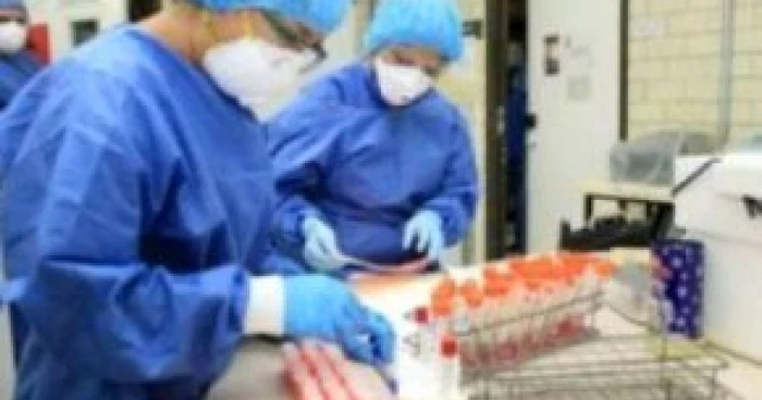 216 bolnavi de gripă porcină în România, şapte noi cazuri confirmate