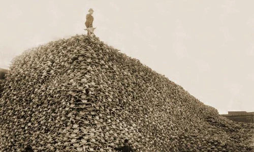 historia ro undefined jpeg