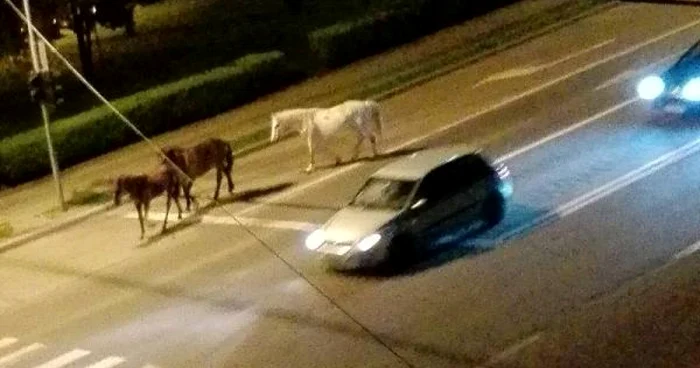 cai alba iulia