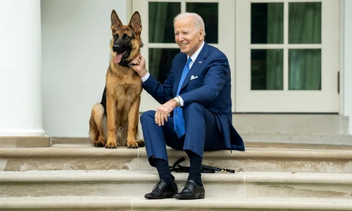 Joe Biden si cainele lui, Commander   profimedia 0728078085 jpg