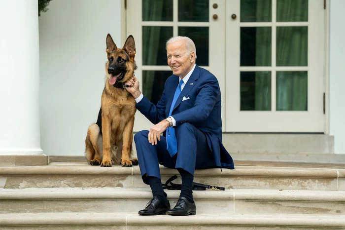 Commander, câinele ciobănesc adoptat de soții Biden în 2012. FOTO: Profimedia