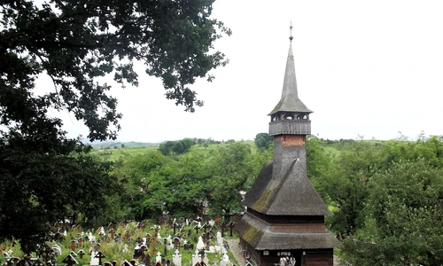 1 85180 original jpg jpeg