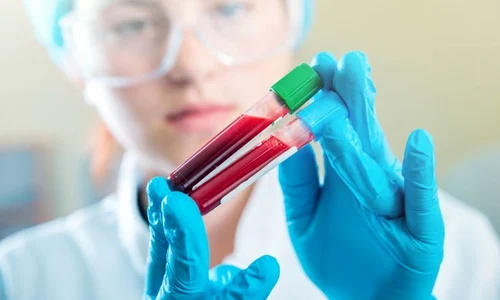 1 shutterstock 360268109 jpg jpeg