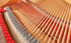 Nicholas McCarthy, din Tadworth, cântă la pian, deși nu are decât o mână jpeg