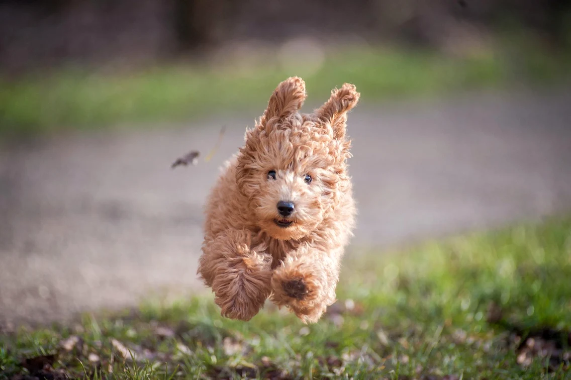 9 arjan stalpers 8 sgismcdaq unsplash jpg jpeg