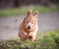 9 arjan stalpers 8 sgismcdaq unsplash jpg jpeg