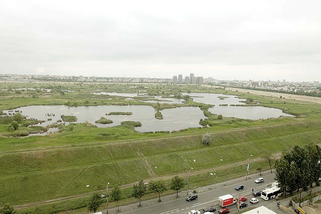 Acvariul va fi construit în delta bucureşteană