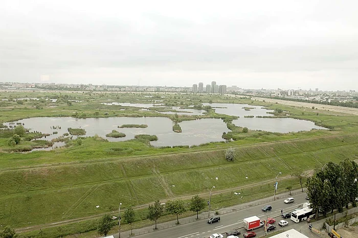 Acvariul va fi construit în delta bucureşteană