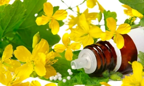 1 70242 original jpg jpeg